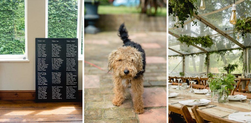 table details at outdoor wedding and bride and grooms pet dog